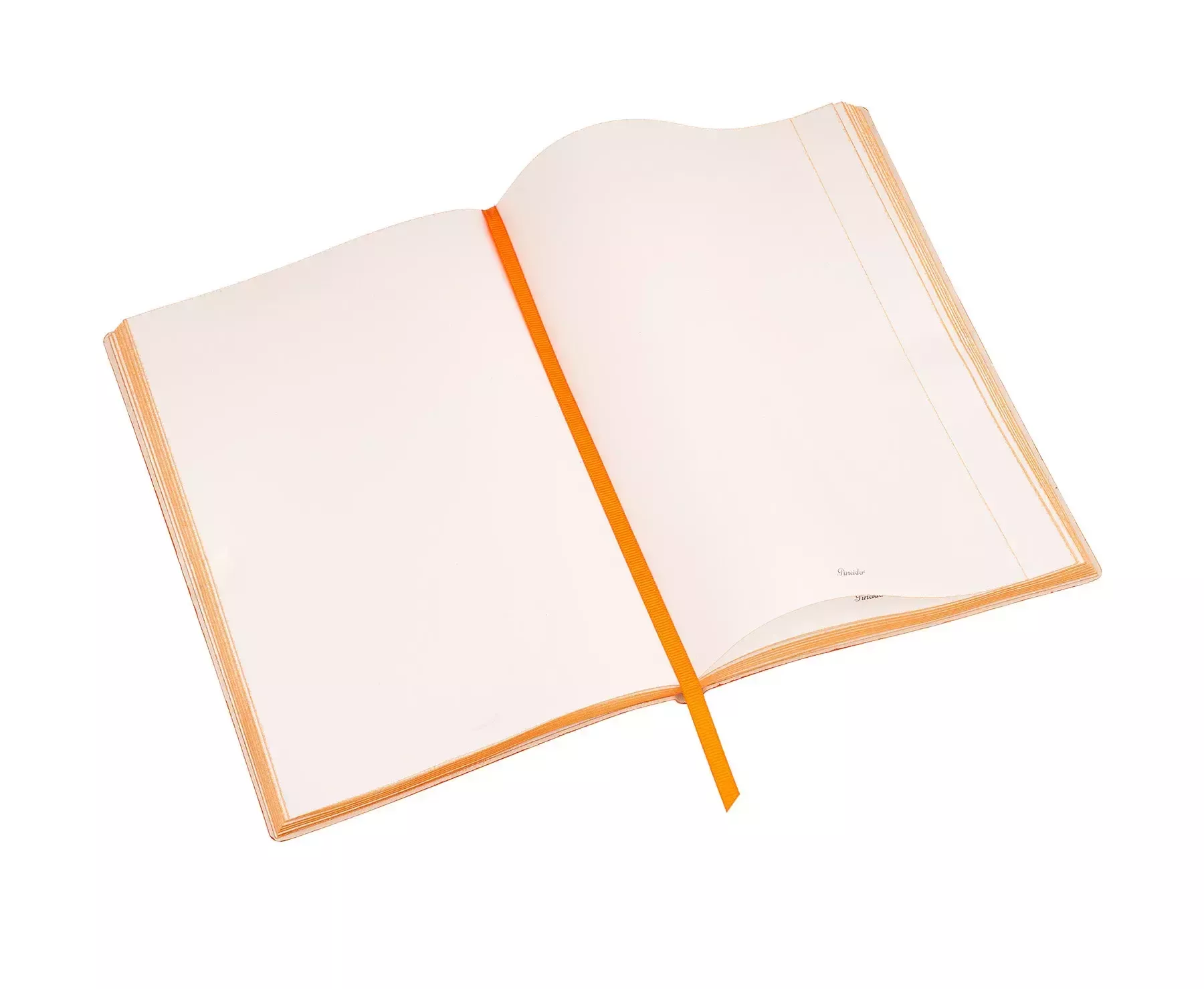Pineider PineiderXColony Notebook Papaveri Vendite Flash