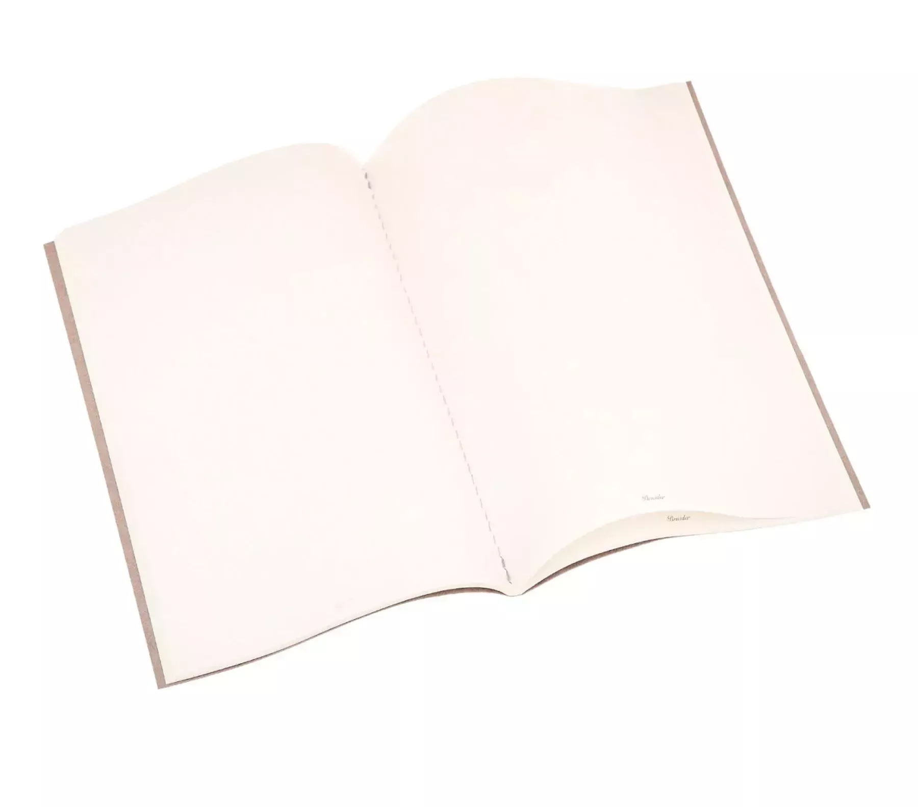 Pineider Notebook EcoJazz senza righe Presa