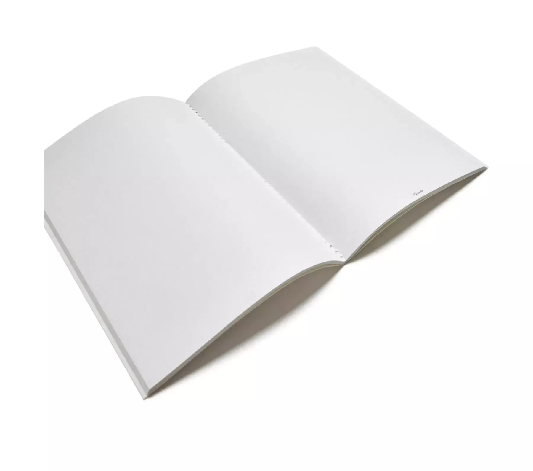 Pineider Notebook EcoJazz senza righe Presa