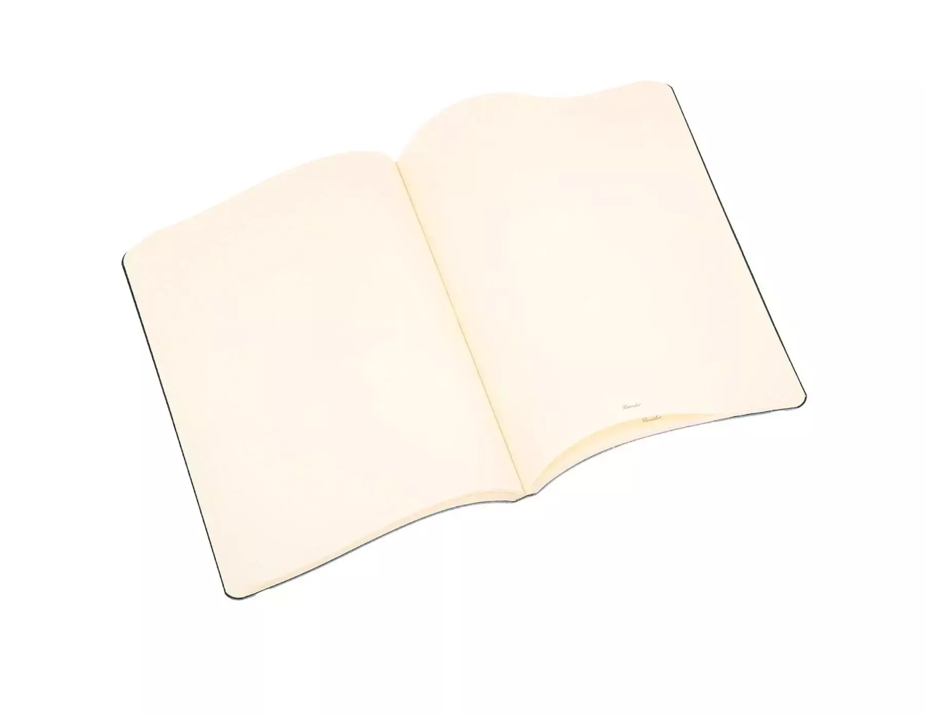 Pineider Notebook Funky Piccolo senza righe Offerta