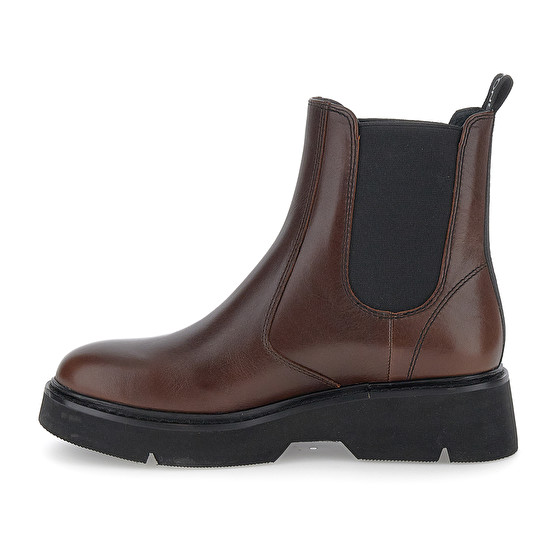 Stonefly TESSA 5 CALF LTH Negozi Online